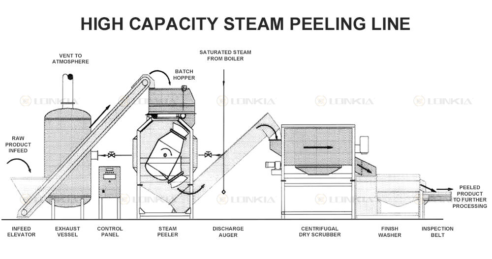 Potato Steam Peeling Machine manufacture