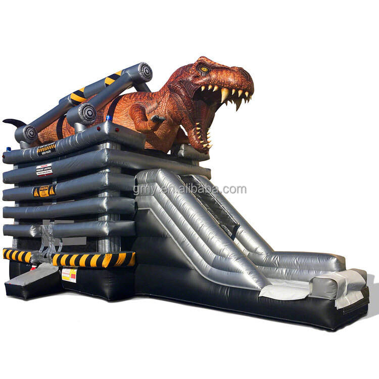 dino bouncer (12)