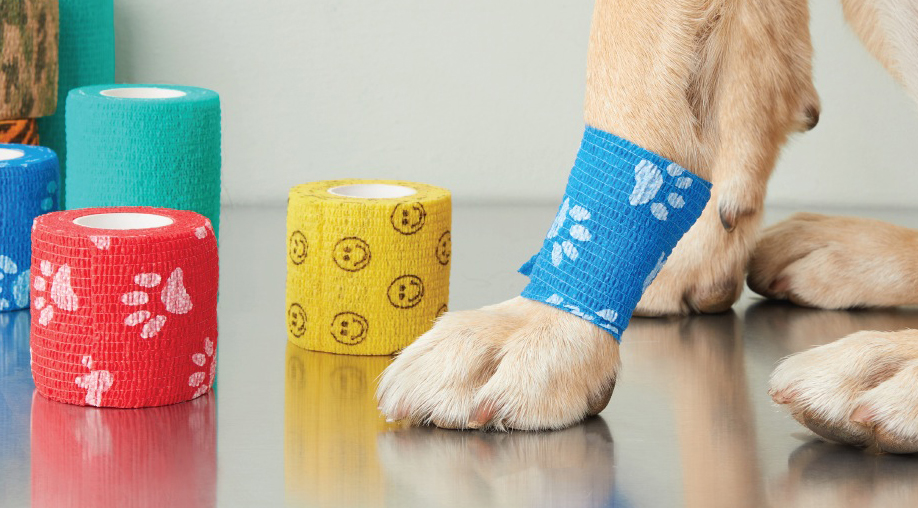 Professional Customization  Elastic Cohesive Bandage Pet Vet factory