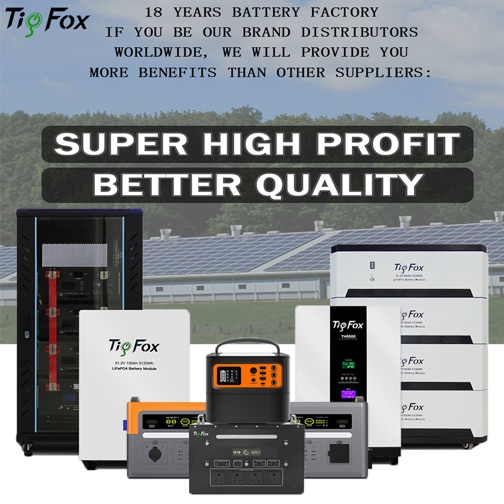 Tigfox solar inverter 3kw 48 volt lithium battery 5kw solar inverter batterie ion lithium 5kw 10kw lifepo4 battery energy factory