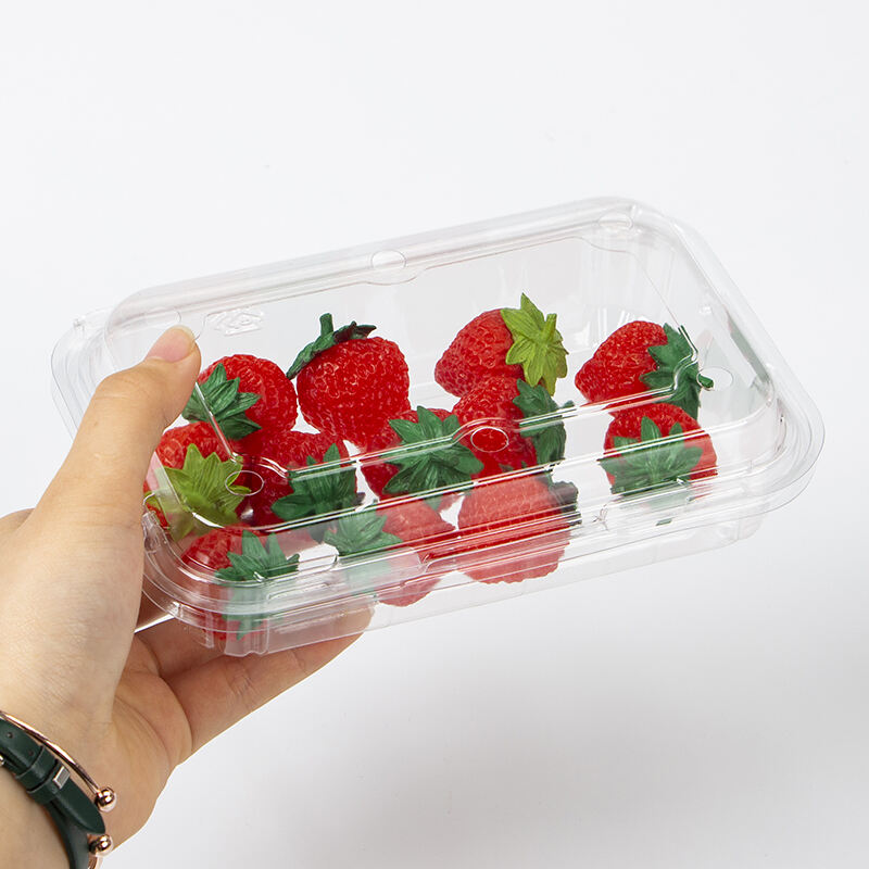 Factory price Wholesale Clear Container Clamshell Fruit Box For Supermarket Packaging
