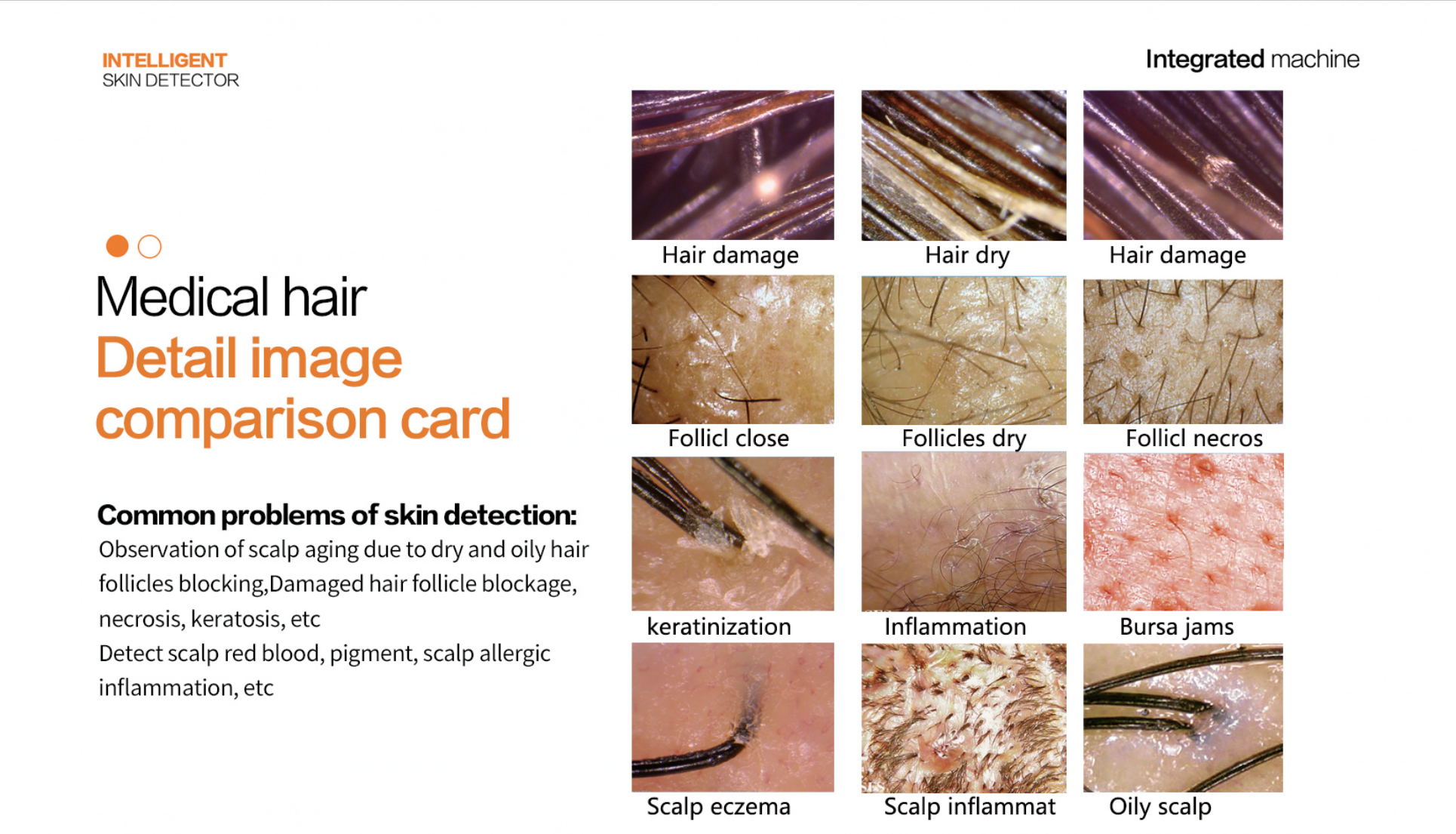 2024 New 15-inch digital HD test hair follicles to detect skin problems manufacture