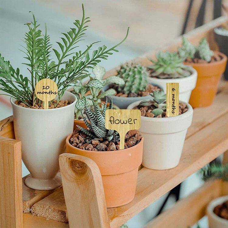 Garden Wooden Plant Label details