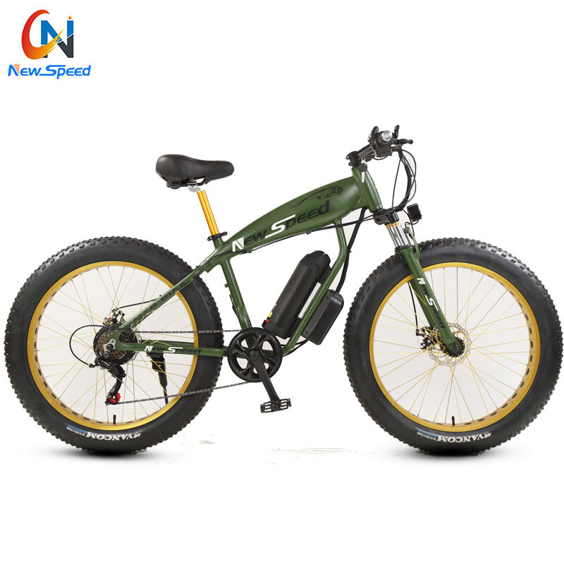 2021 New Style Electric Bike Bicycle Steel Frame Cheap Transportation 48V 300W E-Bike Fat Bike manufacture