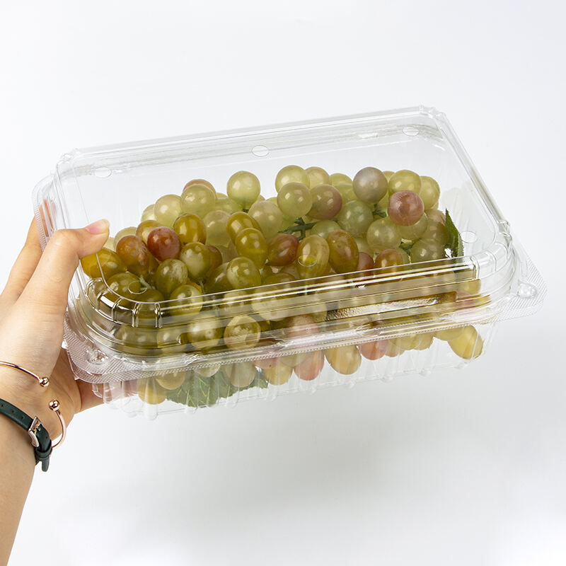 Factory price Wholesale Clear Container Clamshell Fruit Box For Supermarket Packaging