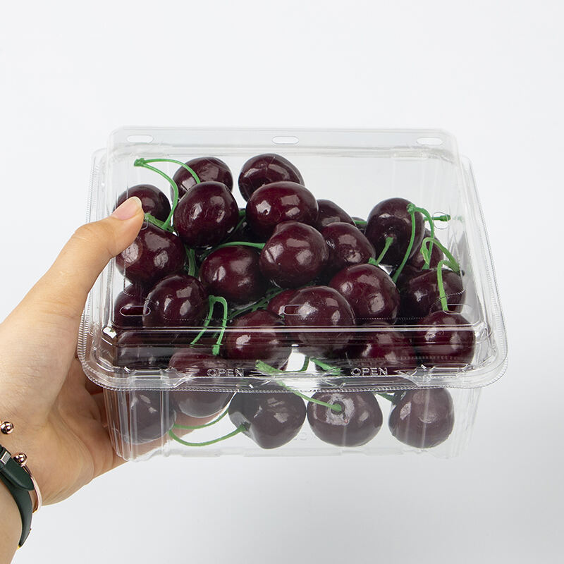 Factory price Wholesale Clear Container Clamshell Fruit Box For Supermarket Packaging