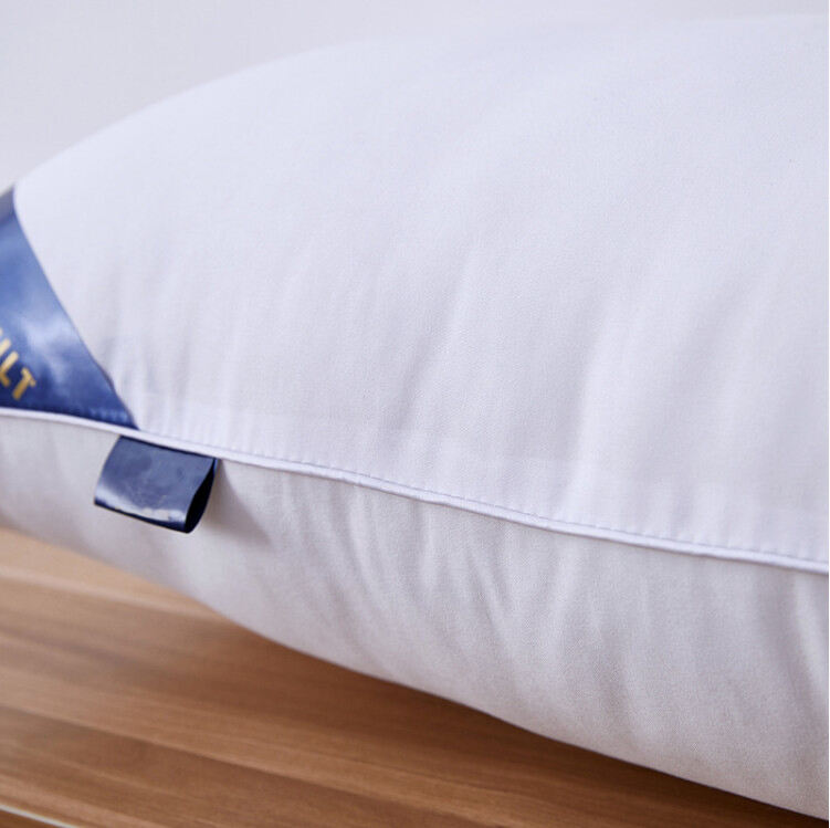 New design 1000g weight skin-friendly comfortable hotel pillow details