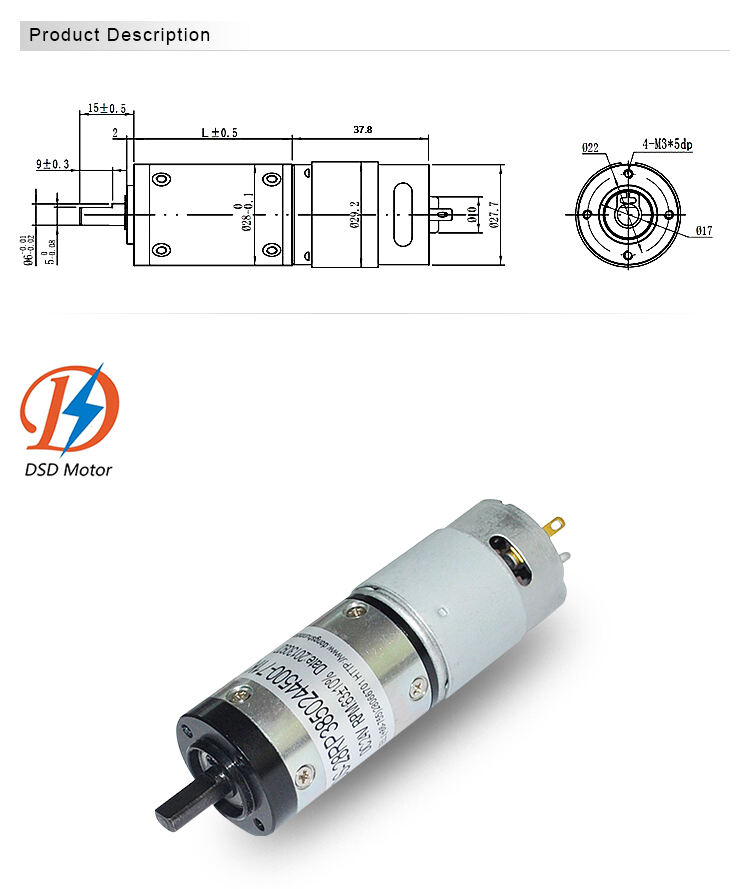 2023 28mm Permanent Magnet 385 395 DC Motor  12V 24V DC Planetary Gearbox Motor for Ovens and Grills factory