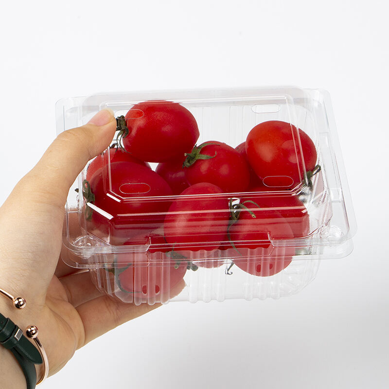 Factory price Wholesale Clear Container Clamshell Fruit Box For Supermarket Packaging