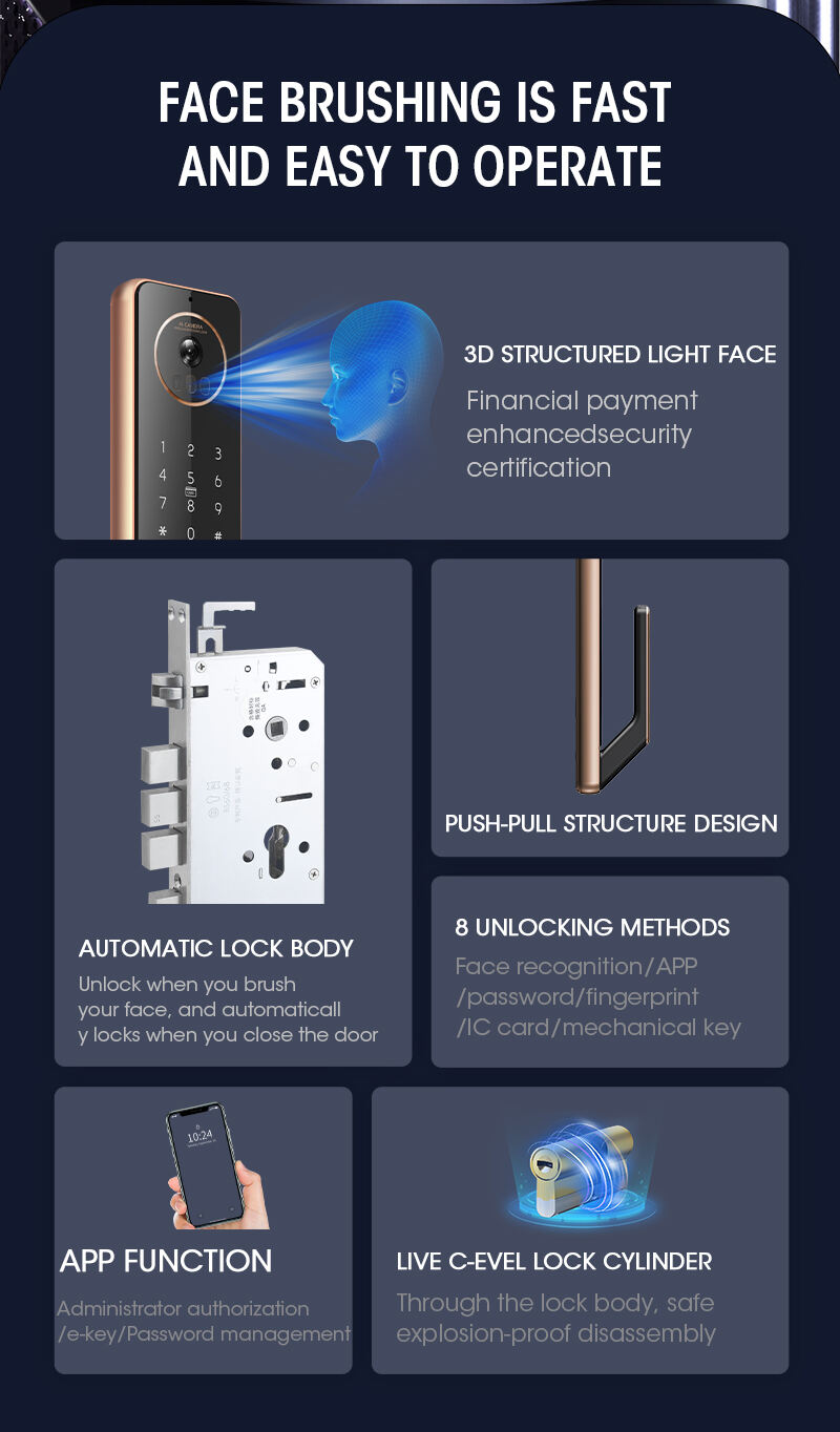 Factory Face Recognition Matter Standard Device Front Door Keyless Entry Smart Lock supplier