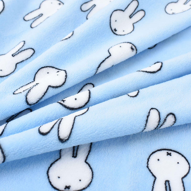 High Quality Children Cartoon Pattern Flannel Blanket Printing Lovely Soft Flannel Blanket For Kids Super Soft For Home factory