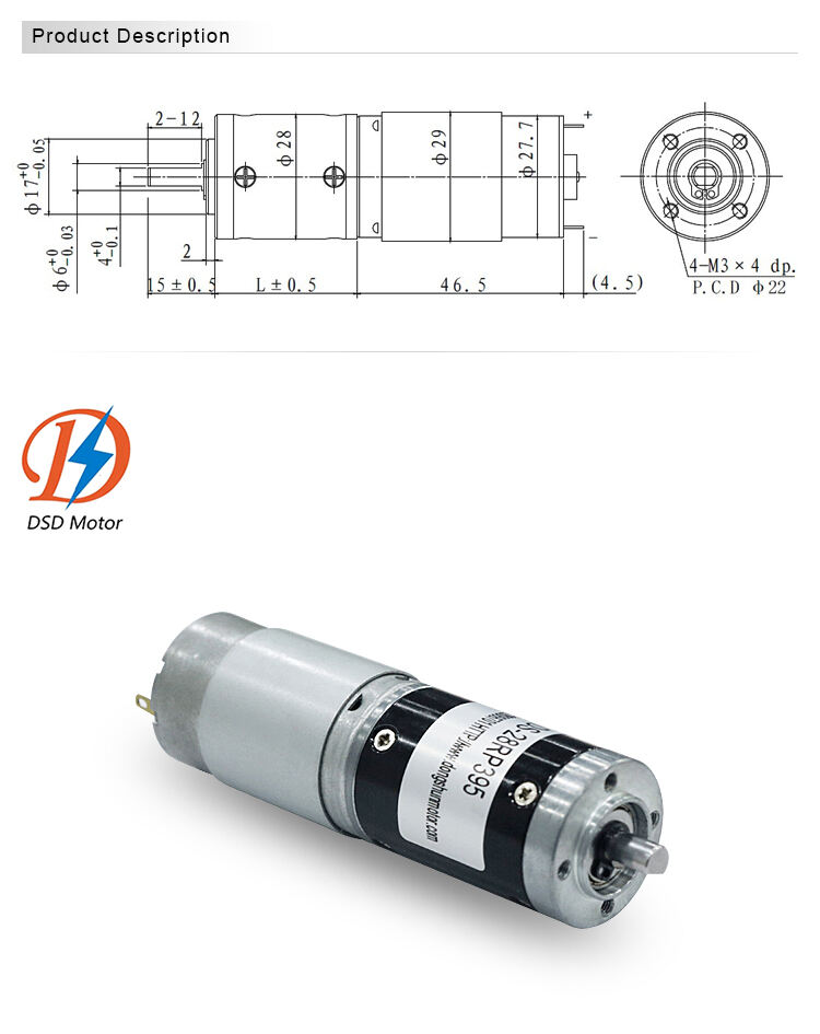 DSD Mini Motor 28RP395 12V 24V Electric High Torque DC Planetary Gear Motor 20Kgf.cm For Medical Equipment Motor supplier