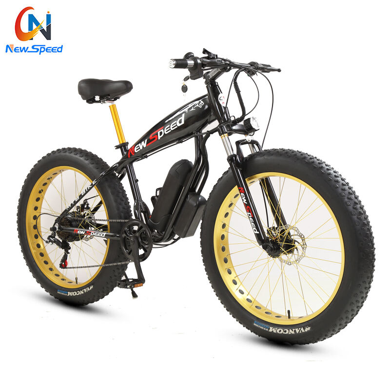 2021 New Style Electric Bike Bicycle Steel Frame Cheap Transportation 48V 300W E-Bike Fat Bike supplier