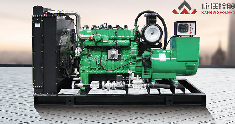 500KW 1 Phase/3 Phase Gas Generator Sets for Continuous Use details