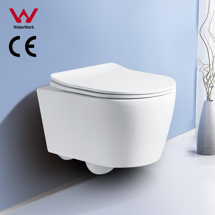 WATERMARK WC Ceramic Rimless bathroom European  Ceramic Toilet Sanitary ware wall hung toilet