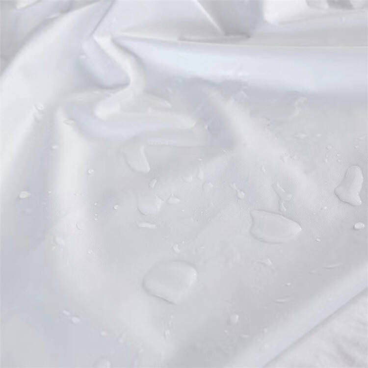 Mattress encasement 10.jpg