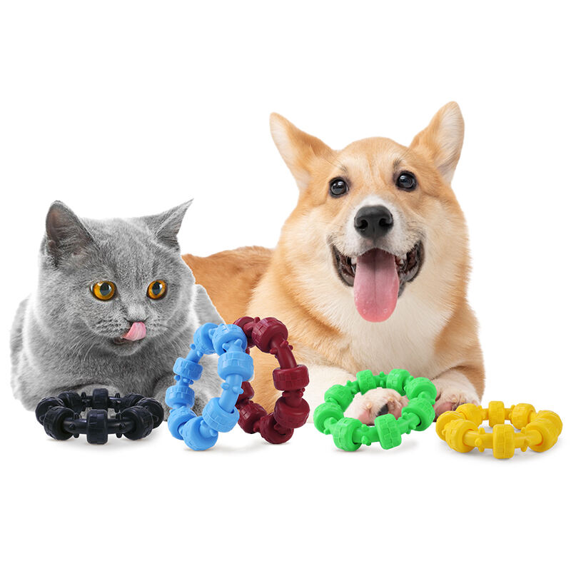 The Multifaceted Appeal Of Rubber Pet Chew Toys For Pet