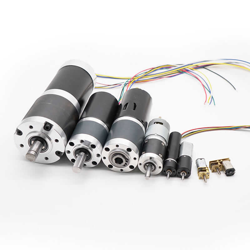 DSD 37mm DC Gear Motor 520 528 555 12V 24V High Quality High Torque Spur Geared DC Motor manufacture