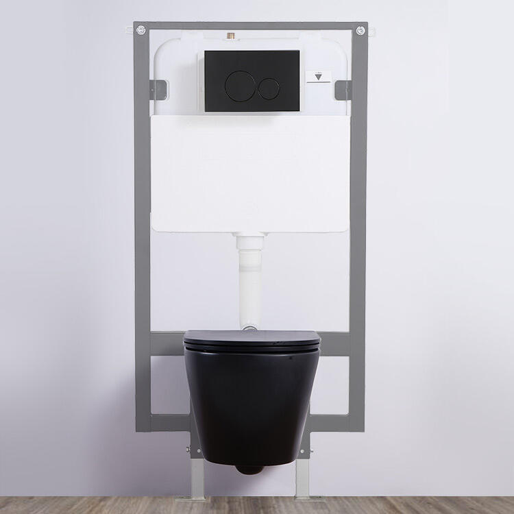 High Quality CE Watermark Hidden Concealed Tank WC Sanitary Ware Ceramic Wall Hung Toilet Cistern Water Tank manufacture