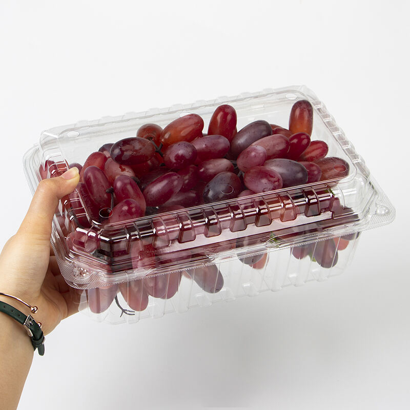 Factory price Wholesale Clear Container Clamshell Fruit Box For Supermarket Packaging