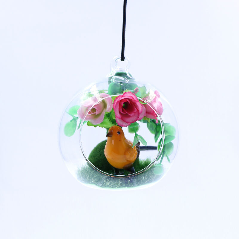 Hand Blown Hanging Clear Air Plant GlassTerrarium Ornament Wholesale factory