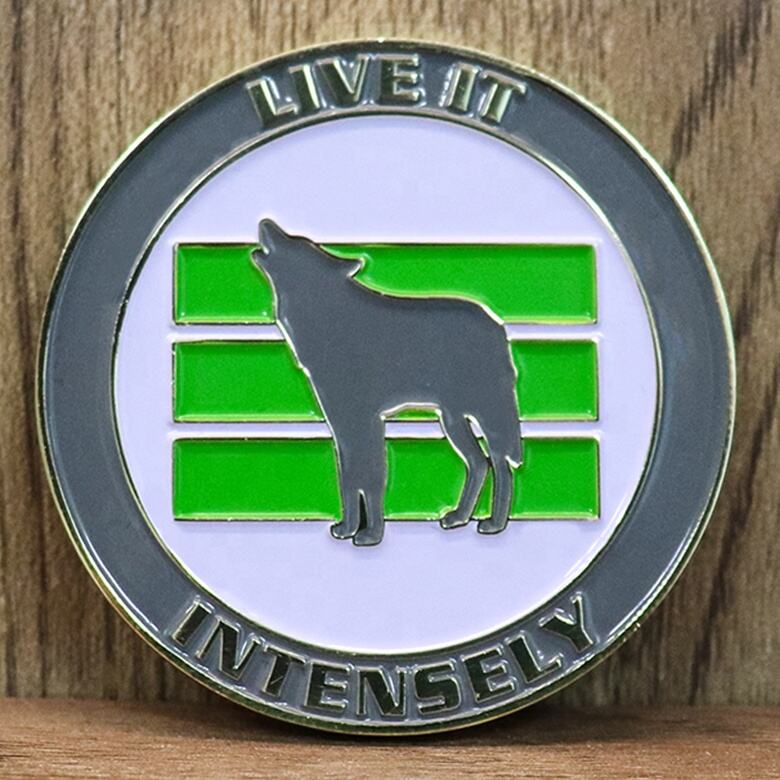 Chinese Factory Wholesale Low Price Custom Metal Challenge Coin factory