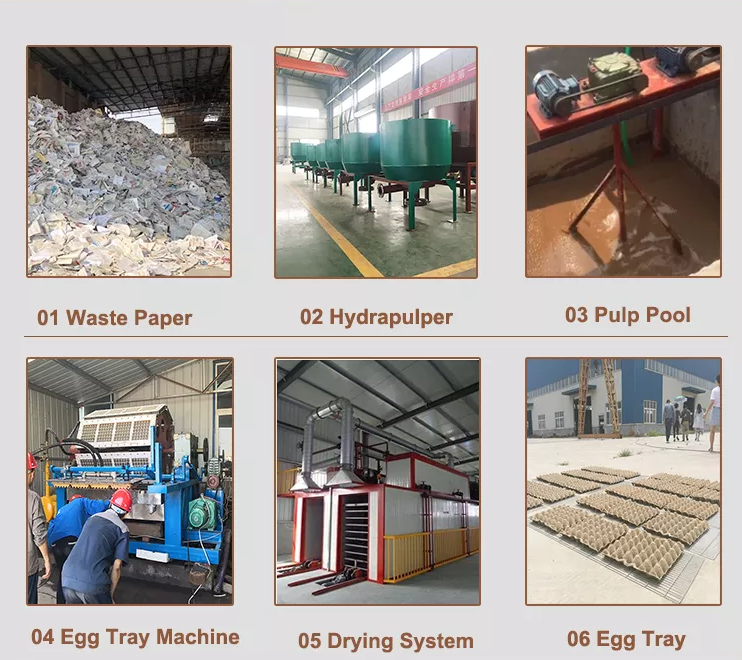 High Quality Recycle Waste Paper Box Making Egg Tray Making Machine supplier