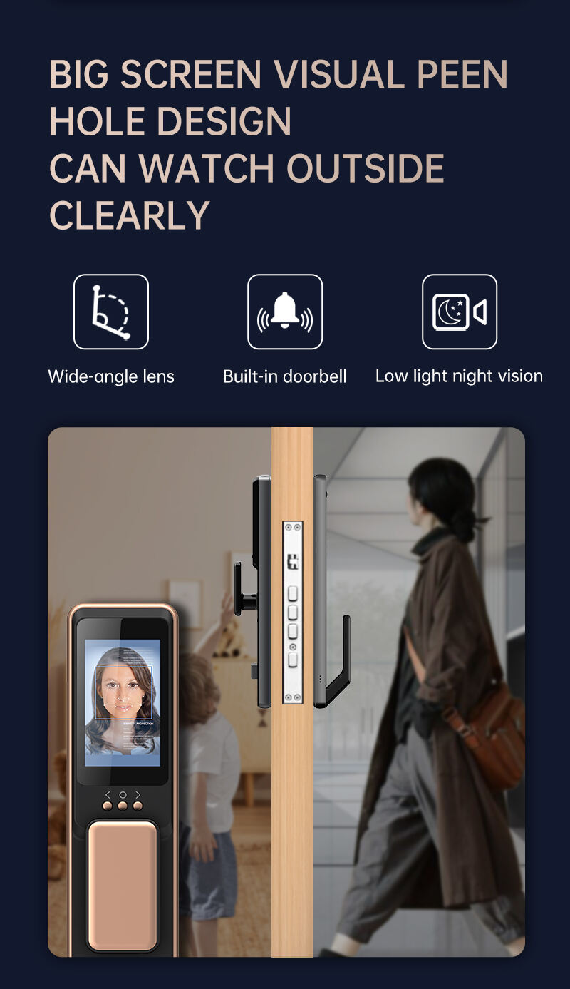 Factory Face Recognition Matter Standard Device Front Door Keyless Entry Smart Lock manufacture