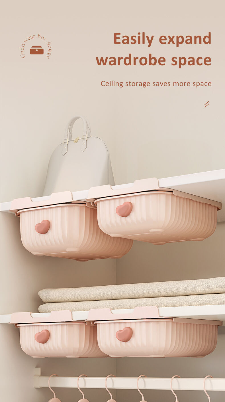 Large Capacity Closet Organizer Wardrobe Underwear Storage Container with Stockings Bra Storage Box for Kitchen Bathroom supplier