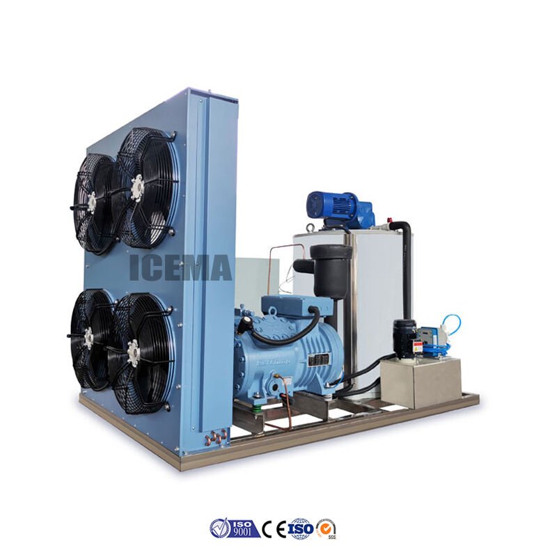 Ice Flake Making Machine factory