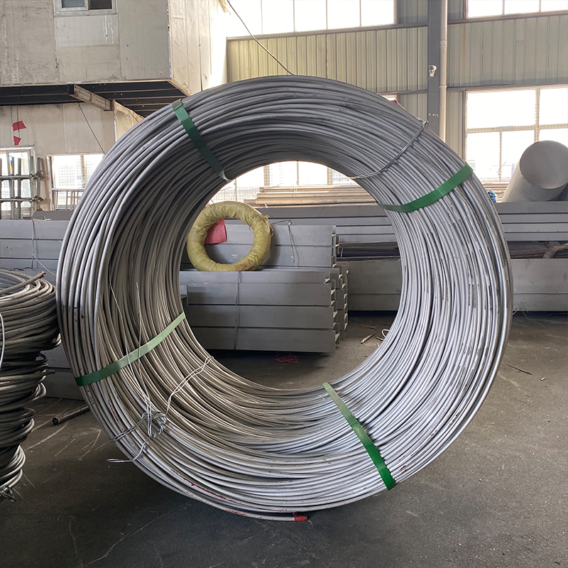 China ASTM AISI JIS SUS SS Funis 301 302 303 Steel Wire details