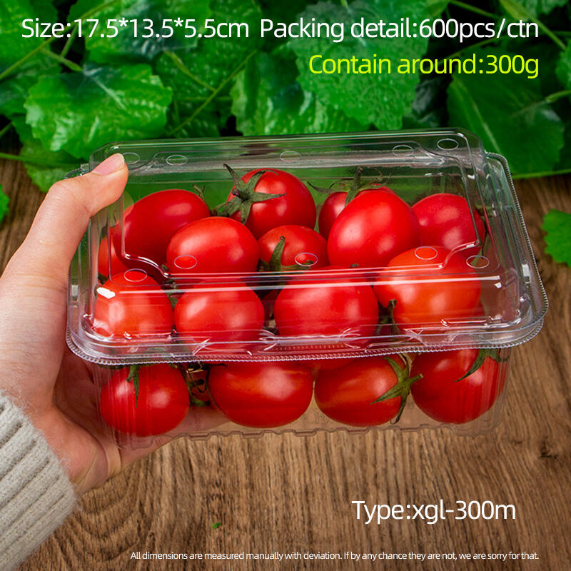 Competitive price and food grade PET plastic fruit package box in the supermarket display packing grape tomato strawberry details