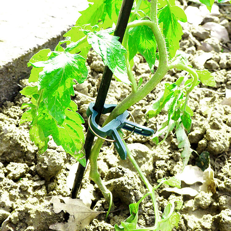 Herstellung von Kunststoff-Federklammern für Gartenpflanzen