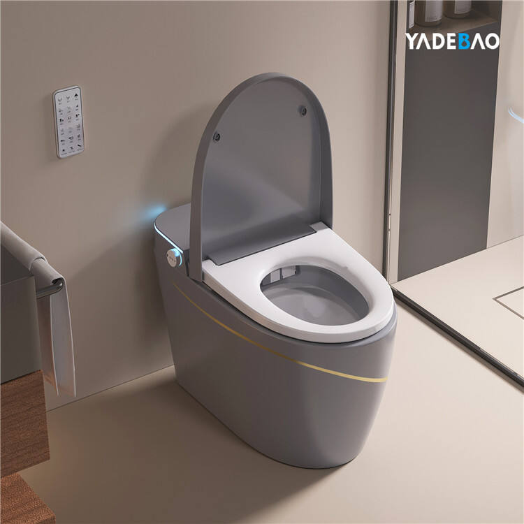 New design bathroom floor mounted intelligent wc commode toilet bowl automatic flush smart toilet with bidet supplier