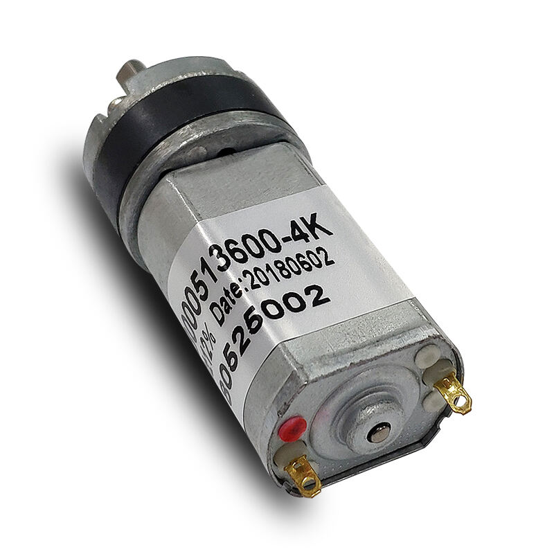 DSD 6V 12V 24V 30rpm 40rpm High Torquer DC Motor DC Gear Motor For Auto Curtain supplier