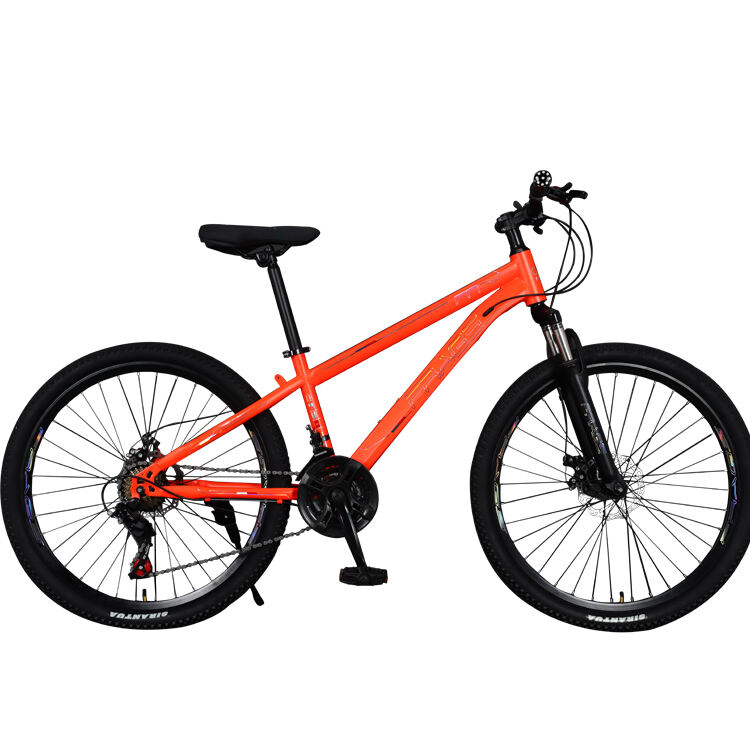 OEM ODM Wholesale factory customized 21 24 27 30 speed 26-inch mtb Bicycle Mountain Bike factory