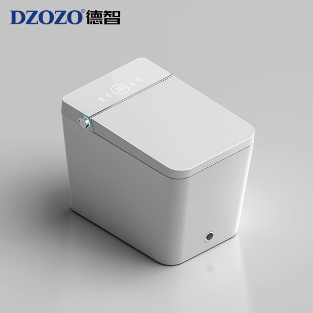 floor mounted light smart toilet model s009-76