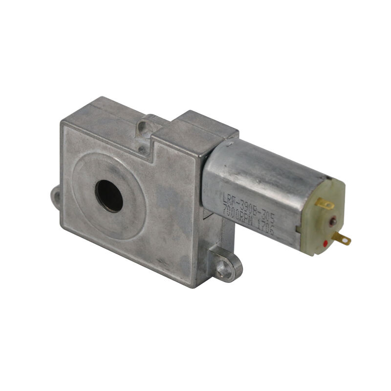 DSD 8V Fully Automatic Gate Door Lock DC Geared Motor factory