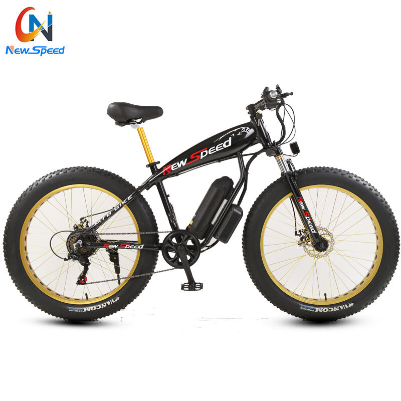 2021 New Style Electric Bike Bicycle Steel Frame Cheap Transportation 48V 300W E-Bike Fat Bike factory