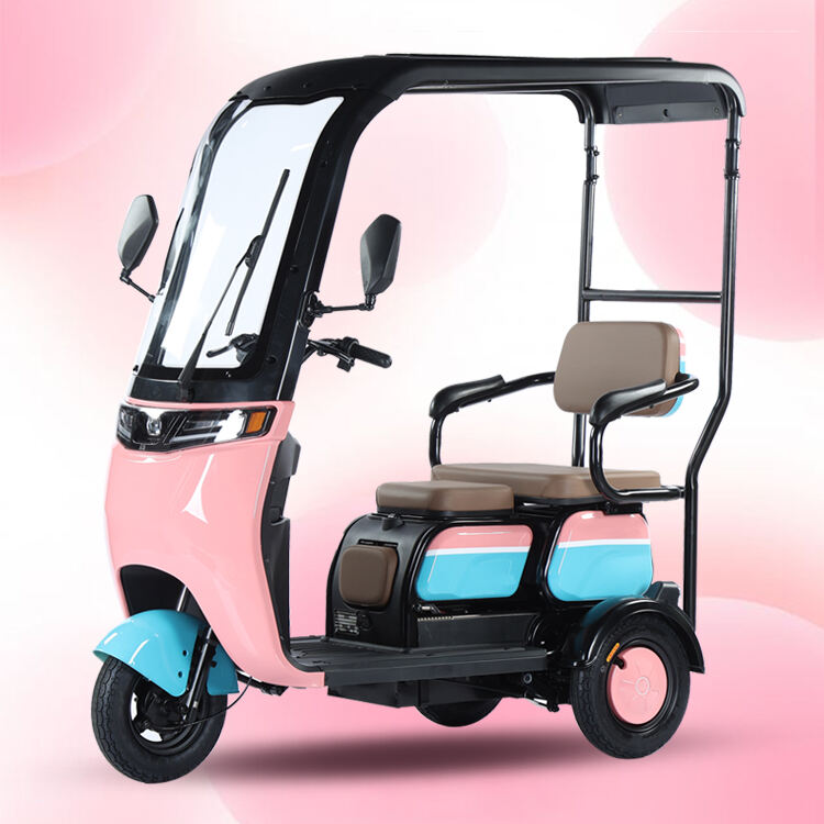 High-power 800W 3-Wheel Electric Tricycle for Adults supplier