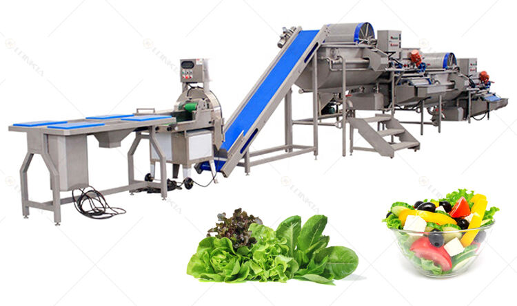 LONKIA Baby Spinach Lettuce Cabbage Fruit And Salad Leafy Vegetables Processing Packing Production Line supplier