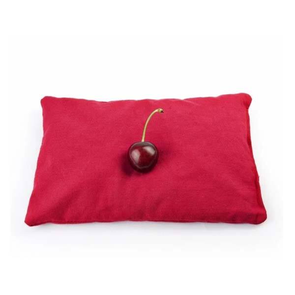 Therapeutic pillow cherry stone pillow for thermotherapy and cryotherapy