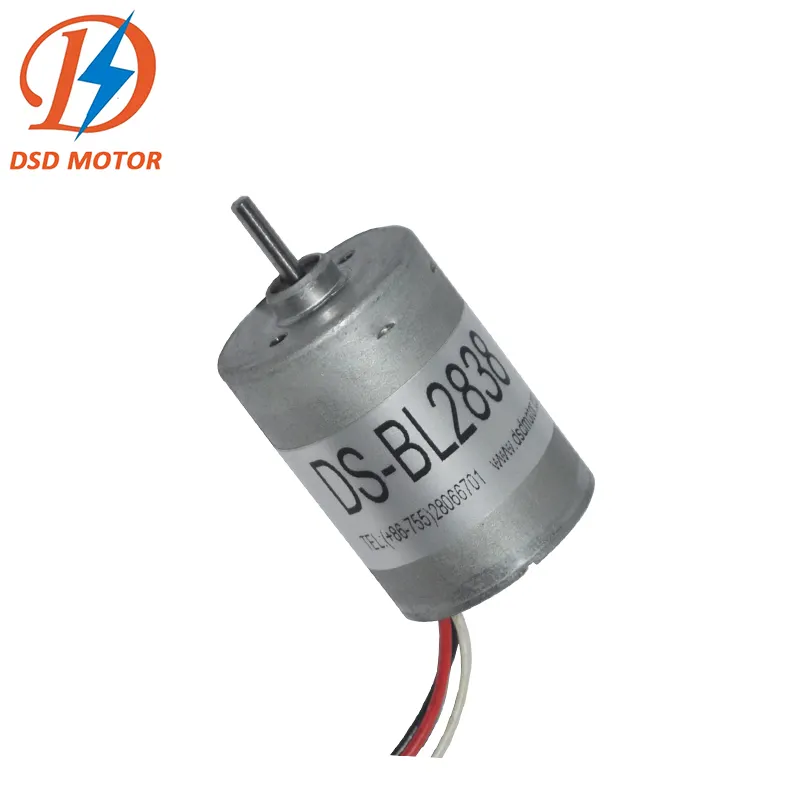 DSD-BL2838 28mm Factory Price Precious Metal 12 volt Brushless DC Motor for Electric Toothbrushes supplier