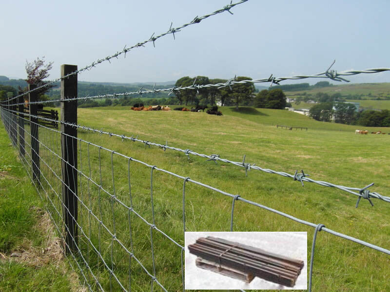 Hot Dip Galvanized Woven Field Deer Fence With Factory Price details