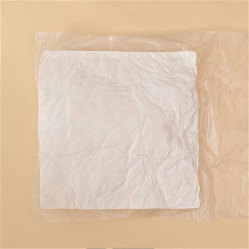 Solid Back Seat Core Sanding Polyester Cushion Insert pp Cotton Filling Pillow Inner supplier