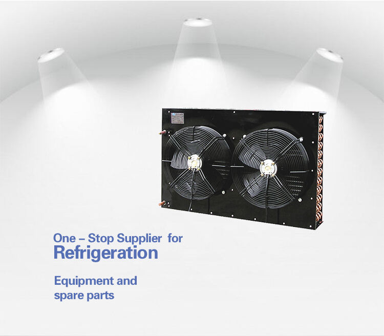 Condensador refrigerado a ar tipo EMTH H para fornecedor de armazenamento em câmara fria