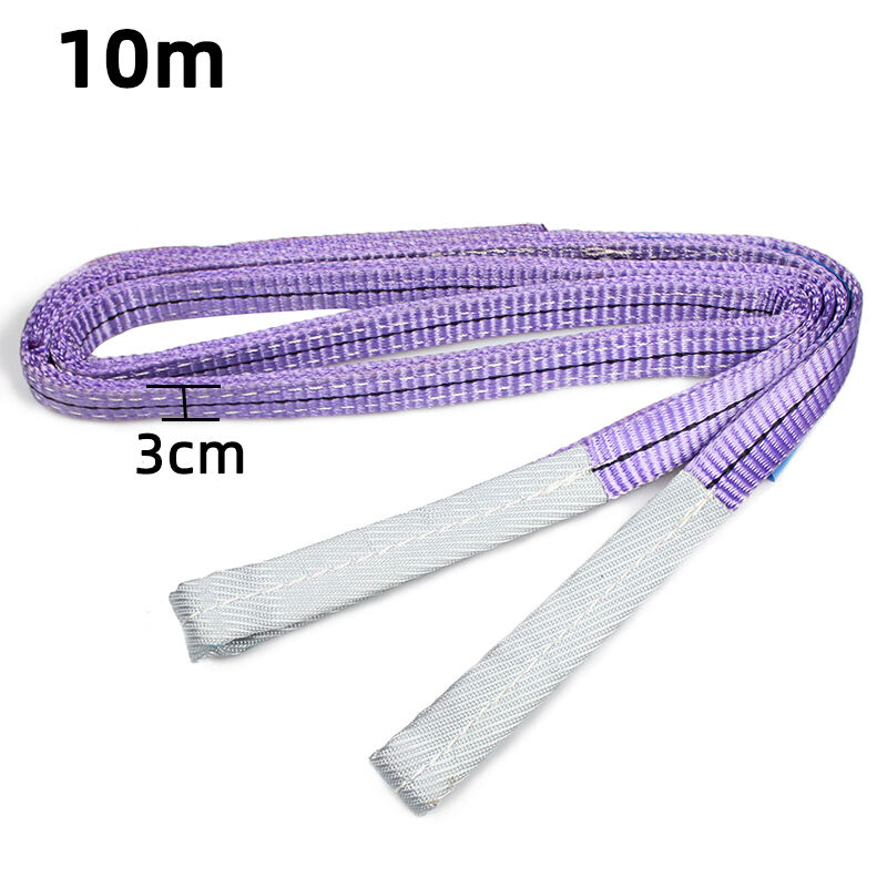 European Standard 1 Ton 3cmX5m Purple Lifting Belt Polyester Web Sling with Flat Eye supplier