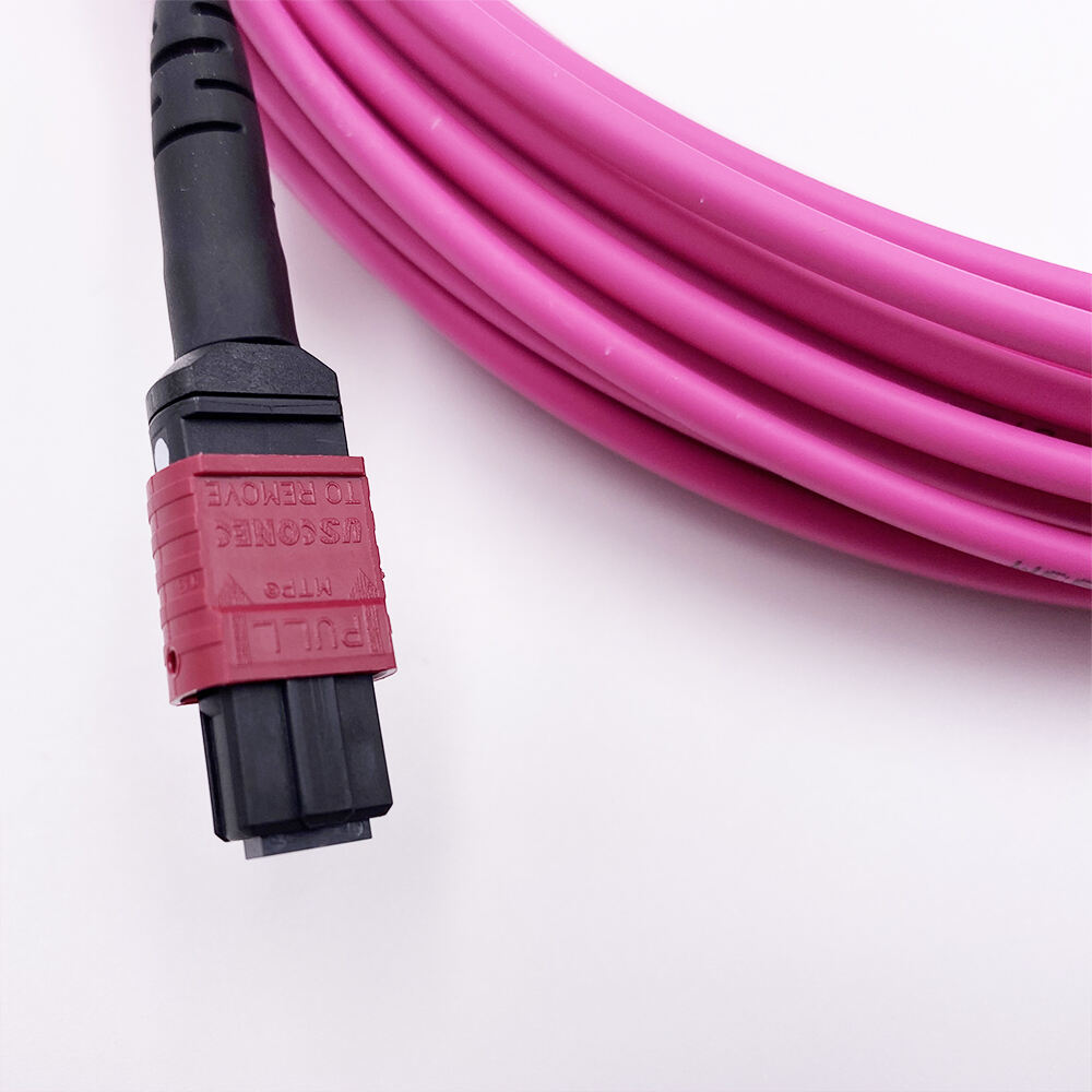 Mtp/mpo Patch Cord 2.jpg