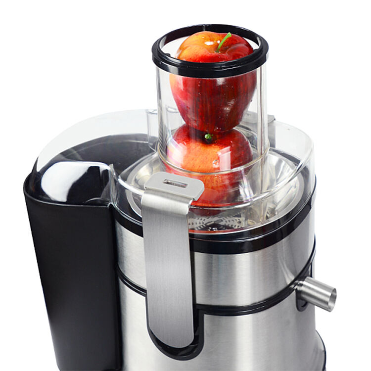 RY-80A Commercial Juicer