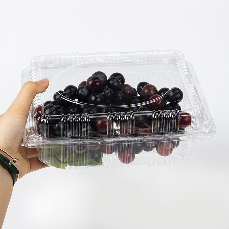 Factory price Wholesale Clear Container Clamshell Fruit Box For Supermarket Packaging